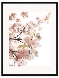 Gerahmter Kunstdruck Frühlingsblüte