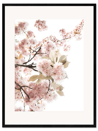 Impressão artística com moldura Floração primavera