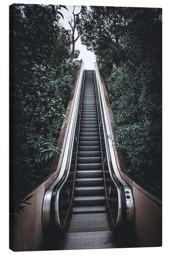 Leinwandbild Rolltreppe im Dschungel