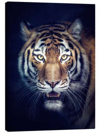 Canvastavla  Sibirian Tiger - Manuela Kulpa