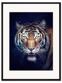 Gerahmter Kunstdruck Amurtiger