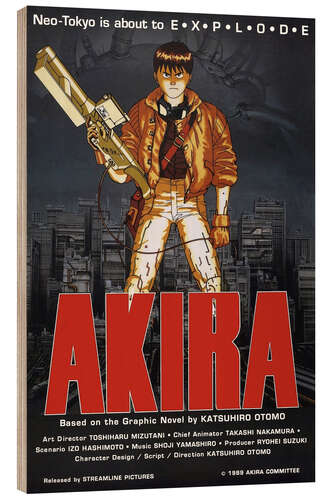 Trebilde Akira III