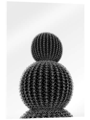 Acrylglas print Black cactus