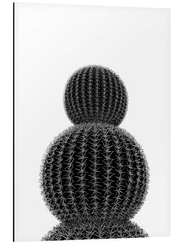 Aluminium print Black cactus