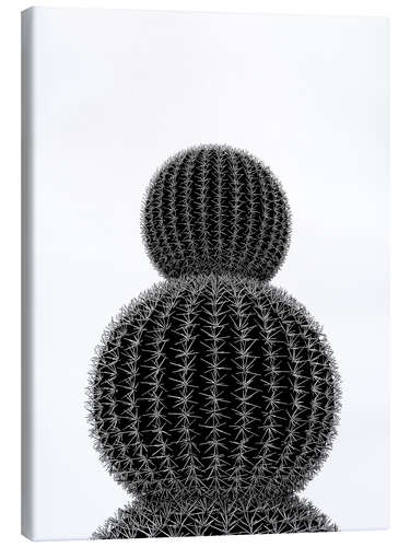 Canvas print Black cactus