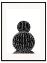 Gerahmter Kunstdruck Schwarzer Kaktus