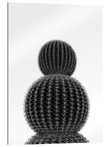 Gallery print Black cactus