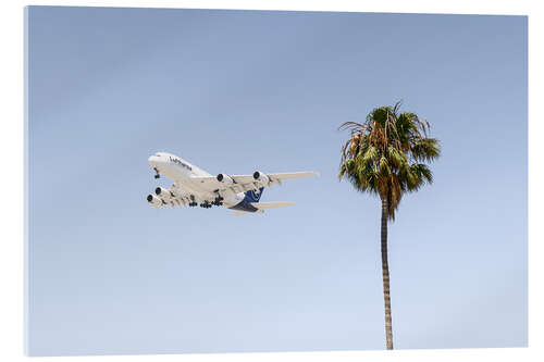 Akrylglastavla Airbus A380 over palm trees