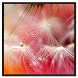 Gerahmter Kunstdruck Tropfenfänger rot