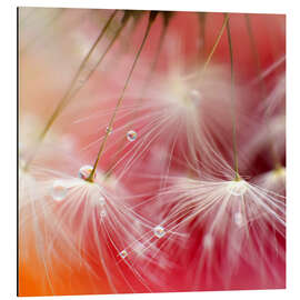 Magnettafel Tropfenfänger rot