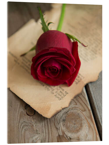 Acrylglas print Still life with red rose and old letter