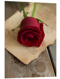 PVC-tavla Still life with red rose and old letter