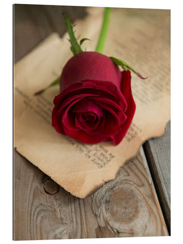 Gallery print Still life with red rose and old letter