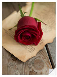 Selvklebende plakat Still life with red rose and old letter