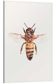 Aluminium print Glitter Bee