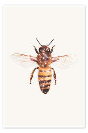 Wall print  Glitter Bee - Jonas Loose