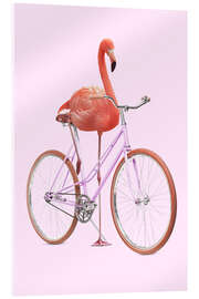 Acrylglasbild  Flamingo-Rad - Jonas Loose