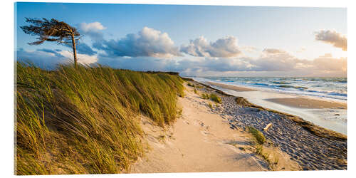 Akrylbilde Darßer Weststrand on the Baltic Sea coast at Prerow