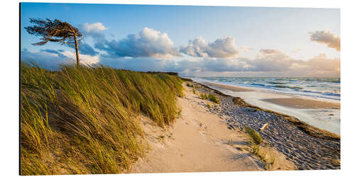 Alubild Darßer Weststrand an der Ostseeküste bei Prerow