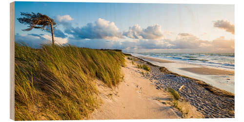 Holzbild Darßer Weststrand an der Ostseeküste bei Prerow