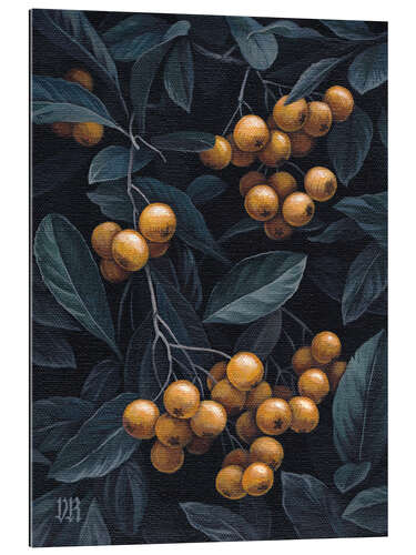 Gallery print Firethorn berries