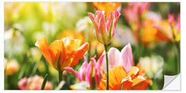 Sisustustarra Pink and orange tulips