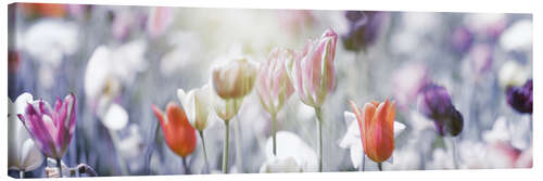 Lienzo Tulipanes en colores pastel