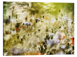 Aluminium print Magical wildflower meadow