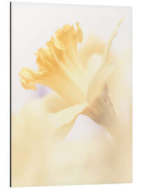 Magnettafel Eine Narzisse ist tausend Vergnügen