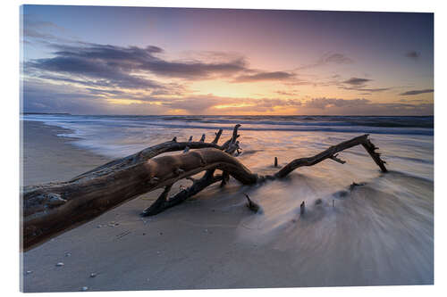 Acrylic print Sunset on the west beach