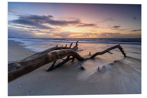 PVC-taulu Sunset on the west beach