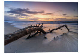 Foam board print Sunset on the west beach