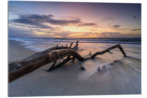 Gallery Print Sonnenuntergang am Weststrand