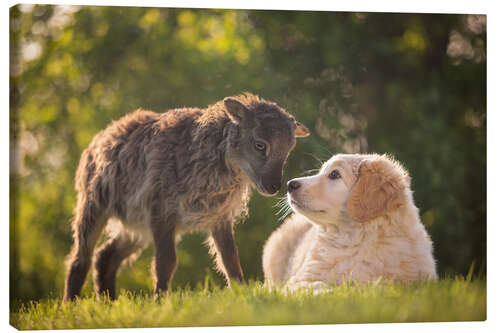 Leinwandbild Tierfreundschaft