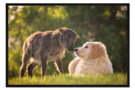 Gerahmter Kunstdruck Tierfreundschaft