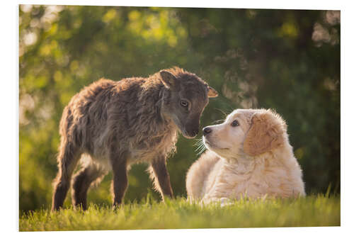 Foam board print Animal friendship