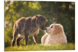 Stampa su plexi-alluminio Amicizia animale