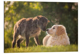 Magnettafel Tierfreundschaft