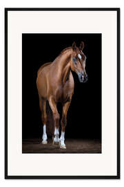 Gerahmter Kunstdruck Anmut II