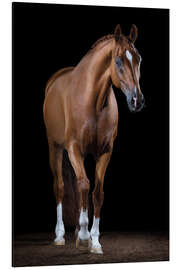 Magnettafel Anmut II