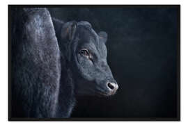 Gerahmter Kunstdruck Liebenswürdiges Rind