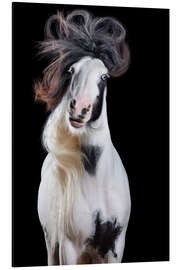 Magnettafel Horsestyle VI