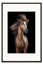 Gerahmter Kunstdruck Horsestyle III