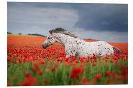 Tableau en PVC Cheval dans un champ de pavot