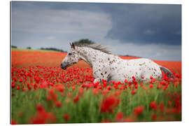 Gallery print Mold in the poppy field