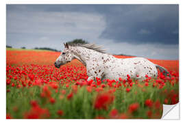 Naklejka na ścianę Mold in the poppy field