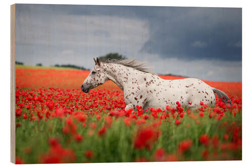 Hout print Mold in the poppy field