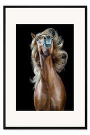 Gerahmter Kunstdruck Horsestyle VII