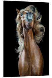 Magnettafel Horsestyle VII