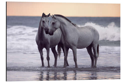 Aluminium print White Hoses on the Beach